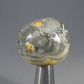 Bumble Bee Jasper Tumblestone ~29mm