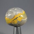 Bumble Bee Jasper Tumblestone ~29mm