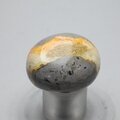 Bumble Bee Jasper Tumblestone ~30mm