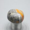 Bumble Bee Jasper Tumblestone ~30mm