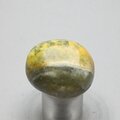 Bumble Bee Jasper Tumblestone ~30mm