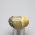 Bumble Bee Jasper Tumblestone ~30mm