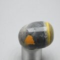 Bumble Bee Jasper Tumblestone ~31mm