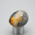 Bumble Bee Jasper Tumblestone ~32mm
