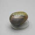 Bumble Bee Jasper Tumblestone ~32mm