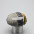 Bumble Bee Jasper Tumblestone ~32mm