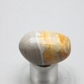Bumble Bee Jasper Tumblestone ~33mm