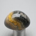 Bumble Bee Jasper Tumblestone ~37mm