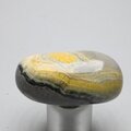 Bumble Bee Jasper Tumblestone ~41mm