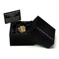 Calymene Trilobite Gift Box - Small