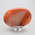 Carnelian Palmstone (Extra Grade) ~70x50mm