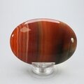 Carnelian Palmstone (Extra Grade) ~70x50mm