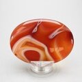 Carnelian Palmstone (Extra Grade) ~70x50mm