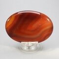 Carnelian Palmstone (Extra Grade) ~70x50mm