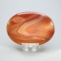 Carnelian Palmstone (Extra Grade) ~70x50mm