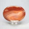 Carnelian Palmstone (Extra Grade) ~70x50mm