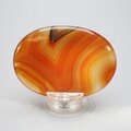 Carnelian Palmstone (Extra Grade) ~70x50mm