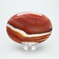 Carnelian Palmstone (Extra Grade) ~70x50mm