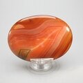 Carnelian Palmstone (Extra Grade) ~70x50mm