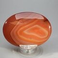 Carnelian Palmstone (Extra Grade) ~70x50mm
