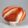 Carnelian Palmstone (Extra Grade) ~70x50mm