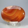 Carnelian Palmstone (Extra Grade) ~70x50mm
