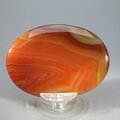 Carnelian Palmstone (Extra Grade) ~70x50mm