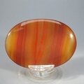 Carnelian Palmstone (Extra Grade) ~70x50mm