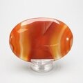 Carnelian Palmstone (Extra Grade) ~70x50mm