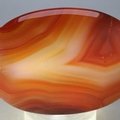 Carnelian Palmstone (Extra Grade) ~70x50mm