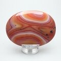 Carnelian Palmstone (Extra Grade) ~70x50mm