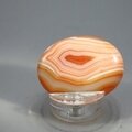 Carnelian Thumbstone(Extra Grade) ~40x30mm