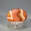 Carnelian Thumbstone(Extra Grade) ~40x30mm