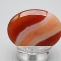 Carnelian Thumbstone(Extra Grade) ~40x30mm