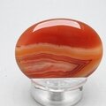 Carnelian Thumbstone(Extra Grade) ~40x30mm