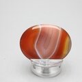 Carnelian Thumbstone(Extra Grade) ~40x30mm