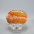 Carnelian Thumbstone(Extra Grade) ~40x30mm