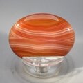 Carnelian Thumbstone(Extra Grade) ~40x30mm