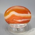 Carnelian Thumbstone(Extra Grade) ~40x30mm