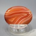 Carnelian Thumbstone(Extra Grade) ~40x30mm