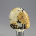 Cassiterite in Quartz Tumblestone ~27mm