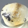 Cassiterite in Quartz Tumblestone ~30mm