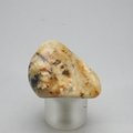 Cassiterite in Quartz Tumblestone ~31mm