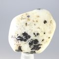Cassiterite in Quartz Tumblestone ~31mm