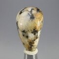 Cassiterite in Quartz Tumblestone ~33mm