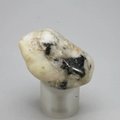 Cassiterite in Quartz Tumblestone ~37mm