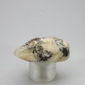 Cassiterite in Quartz Tumblestone ~37mm