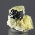 Cassiterite (Mini) Healing Crystal ~14mm