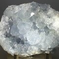 Celestite Crystal Cluster ~65mm