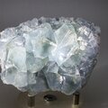 Celestite Crystal Cluster ~74mm
